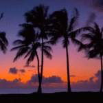 Wind_on_the_Beach_Animated_GIF_Image